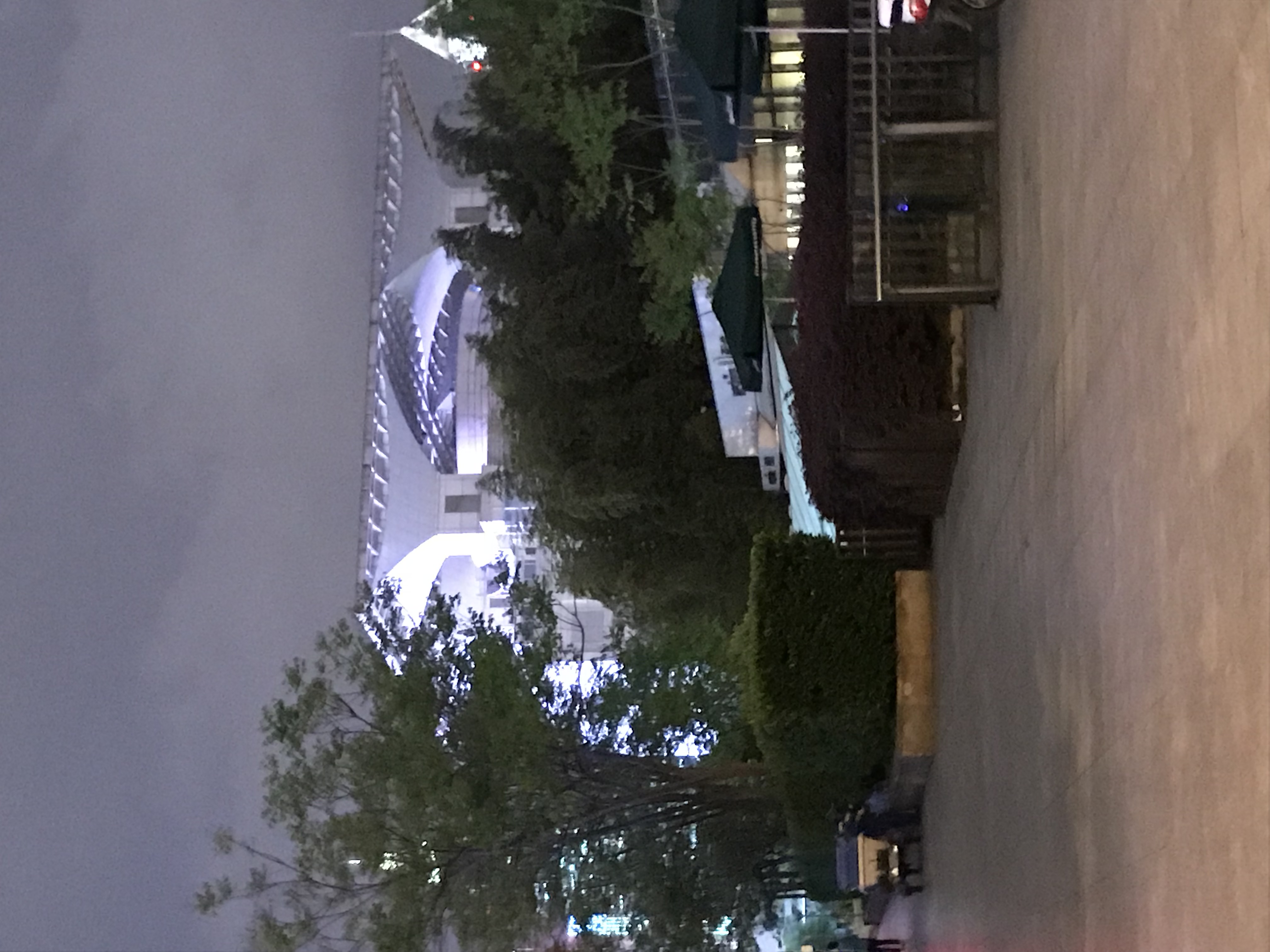 ./2018/03 - Viking China/22 - Shanghai Day 1/IMG_9993.JPG